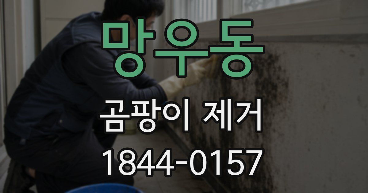 망우동 곰팡이 제거