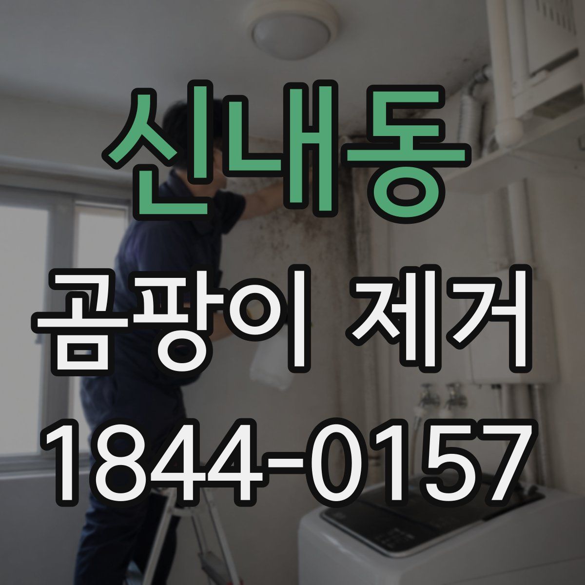 신내동 곰팡이 제거