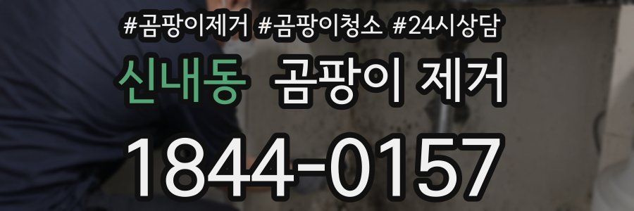 신내동 곰팡이 제거
