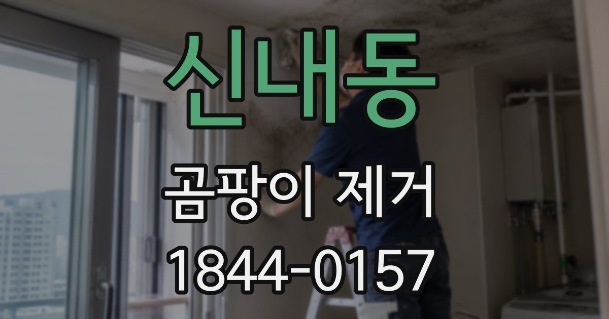 신내동 곰팡이 제거
