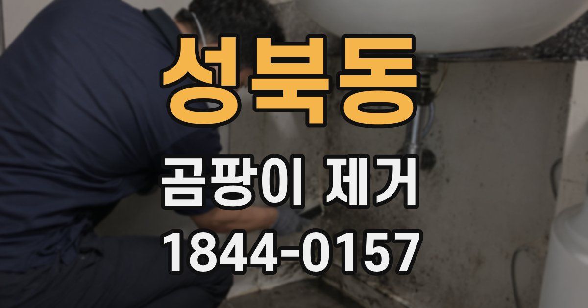 성북동 곰팡이 제거