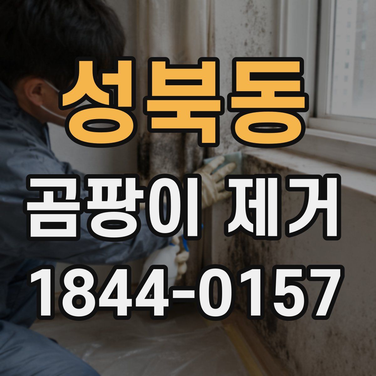 성북동 곰팡이 제거