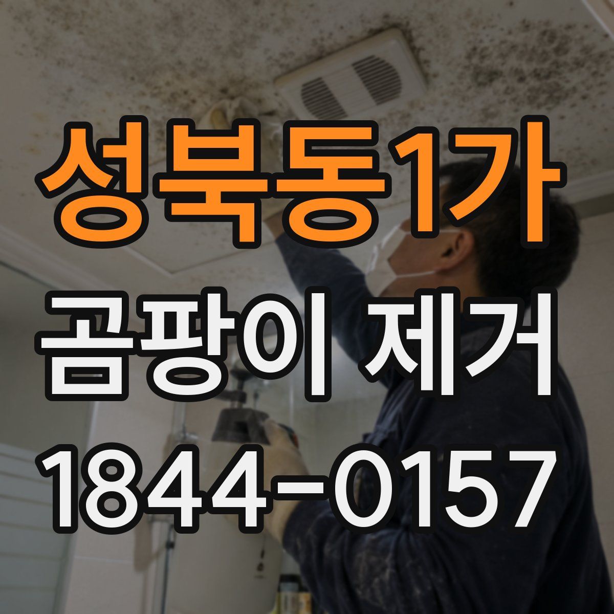 성북동1가 곰팡이 제거