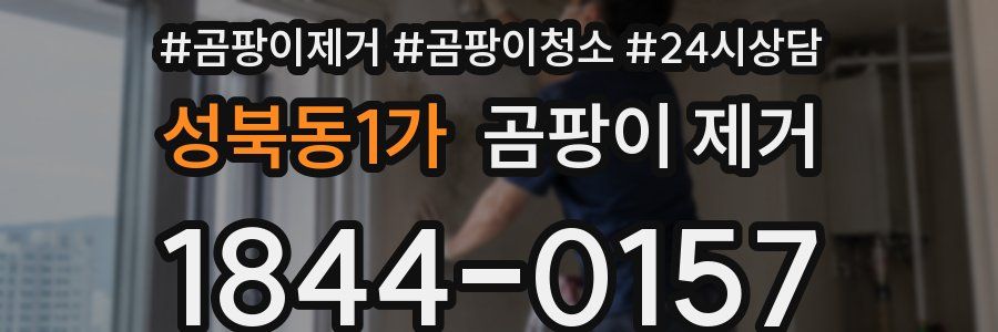 성북동1가 곰팡이 제거