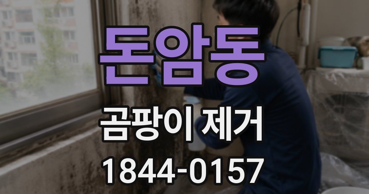 돈암동 곰팡이 제거