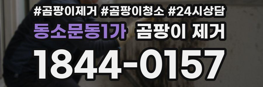 동소문동1가 곰팡이 제거