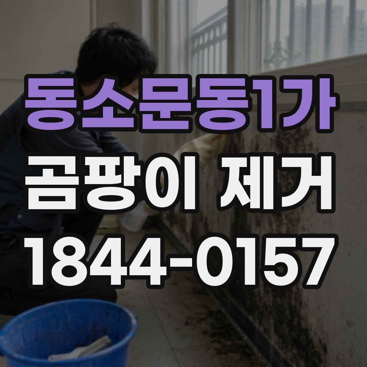 동소문동1가 곰팡이 제거
