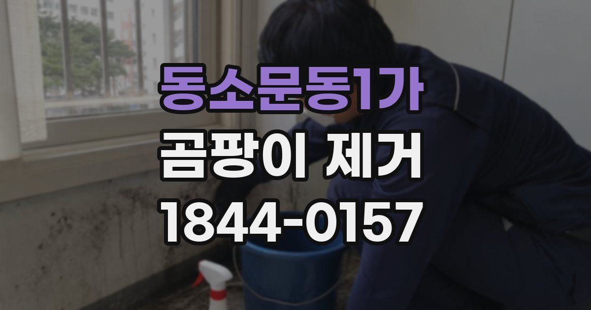 동소문동1가 곰팡이 제거