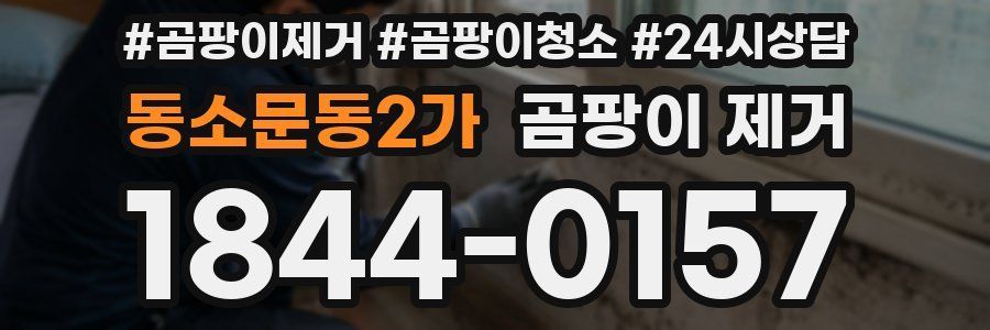 동소문동2가 곰팡이 제거