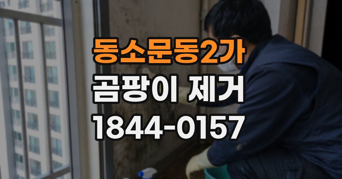 동소문동2가 곰팡이 제거