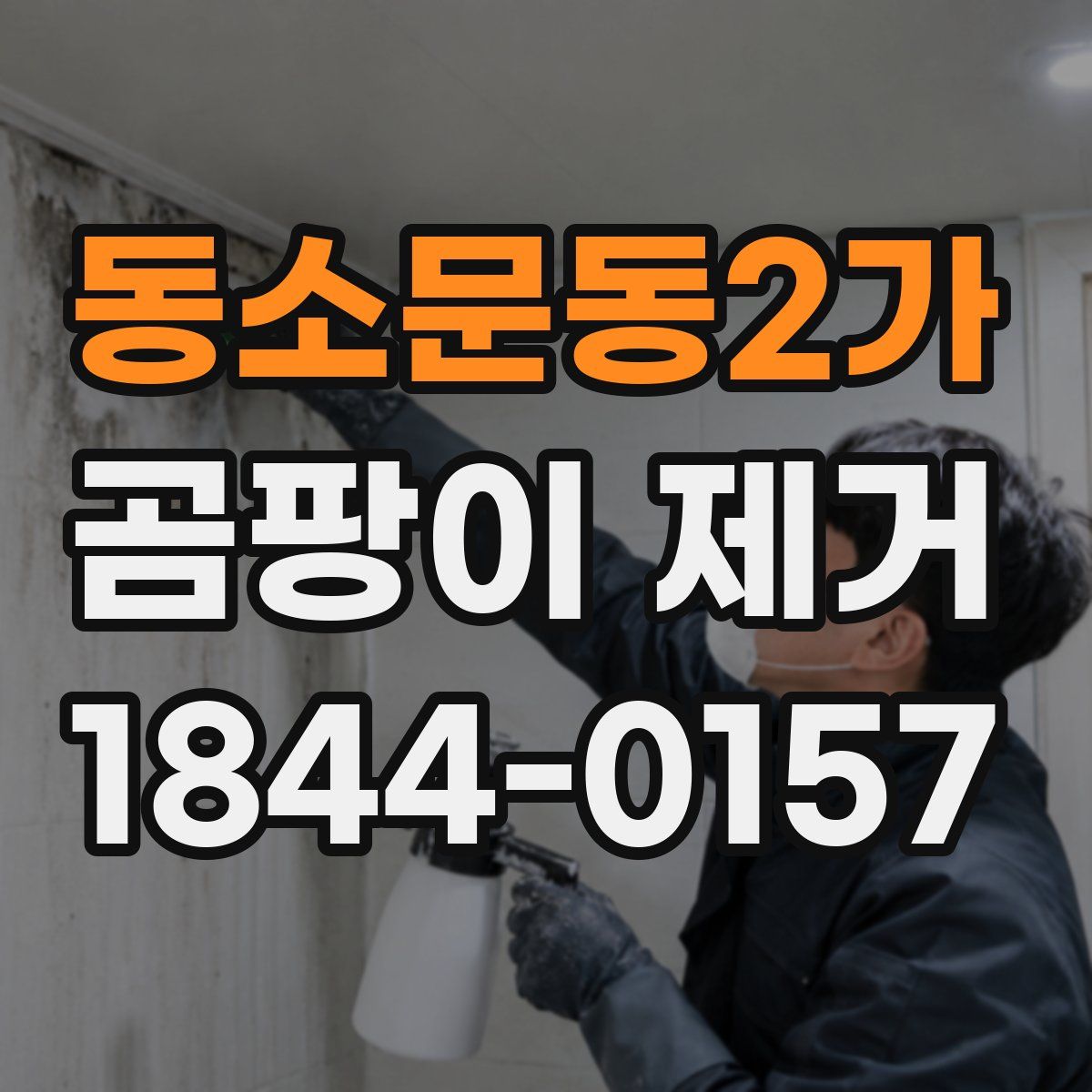 동소문동2가 곰팡이 제거