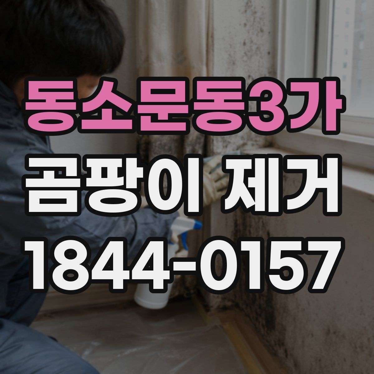 동소문동3가 곰팡이 제거 도배 전 벽면 상태를 살피는 법