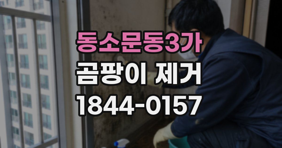동소문동3가 곰팡이 제거