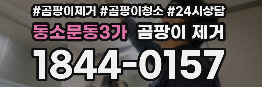 동소문동3가 곰팡이 제거