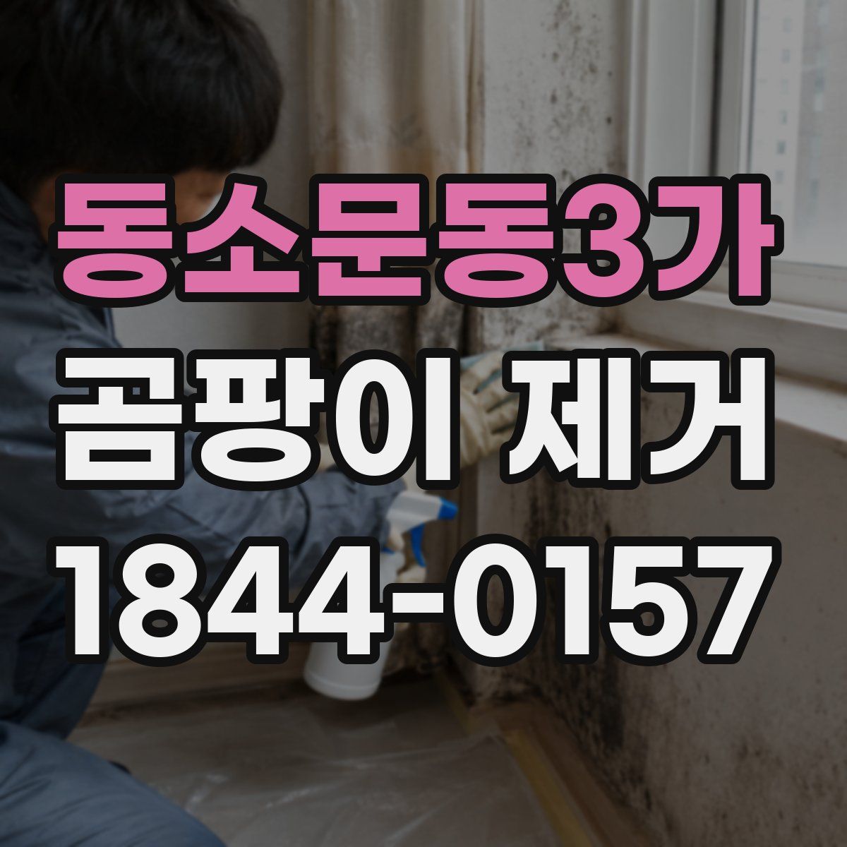 동소문동3가 곰팡이 제거