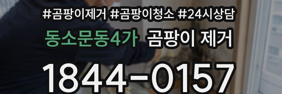 동소문동4가 곰팡이 제거