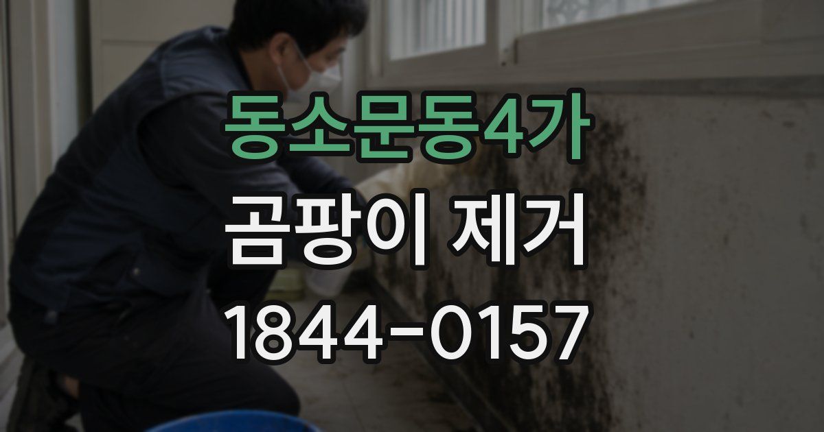 동소문동4가 곰팡이 제거
