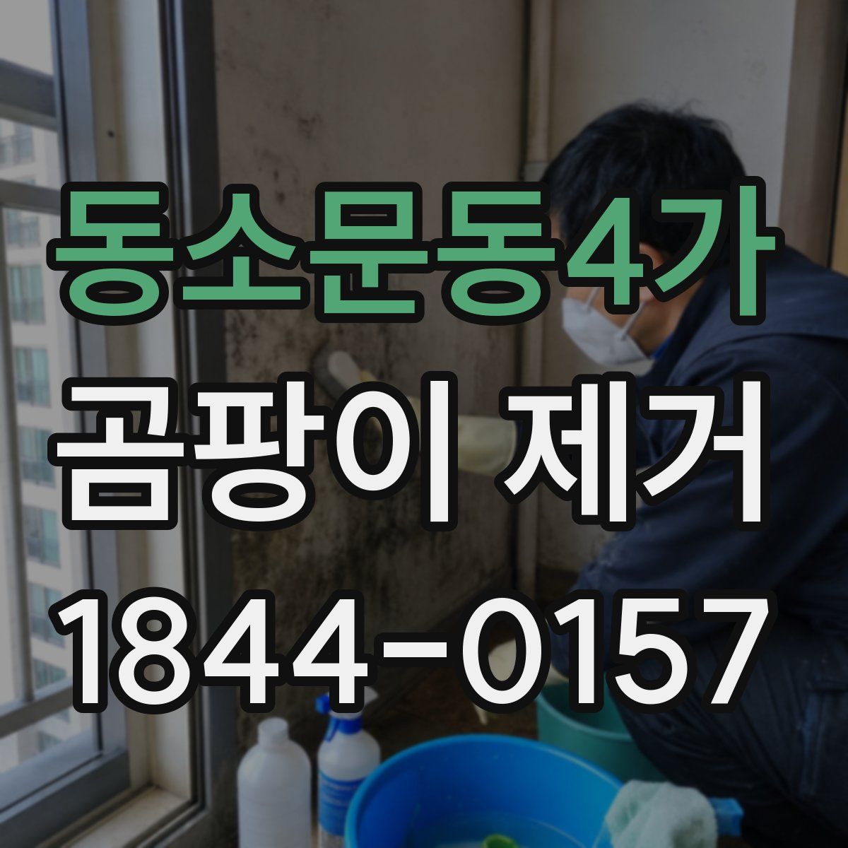 동소문동4가 곰팡이 제거