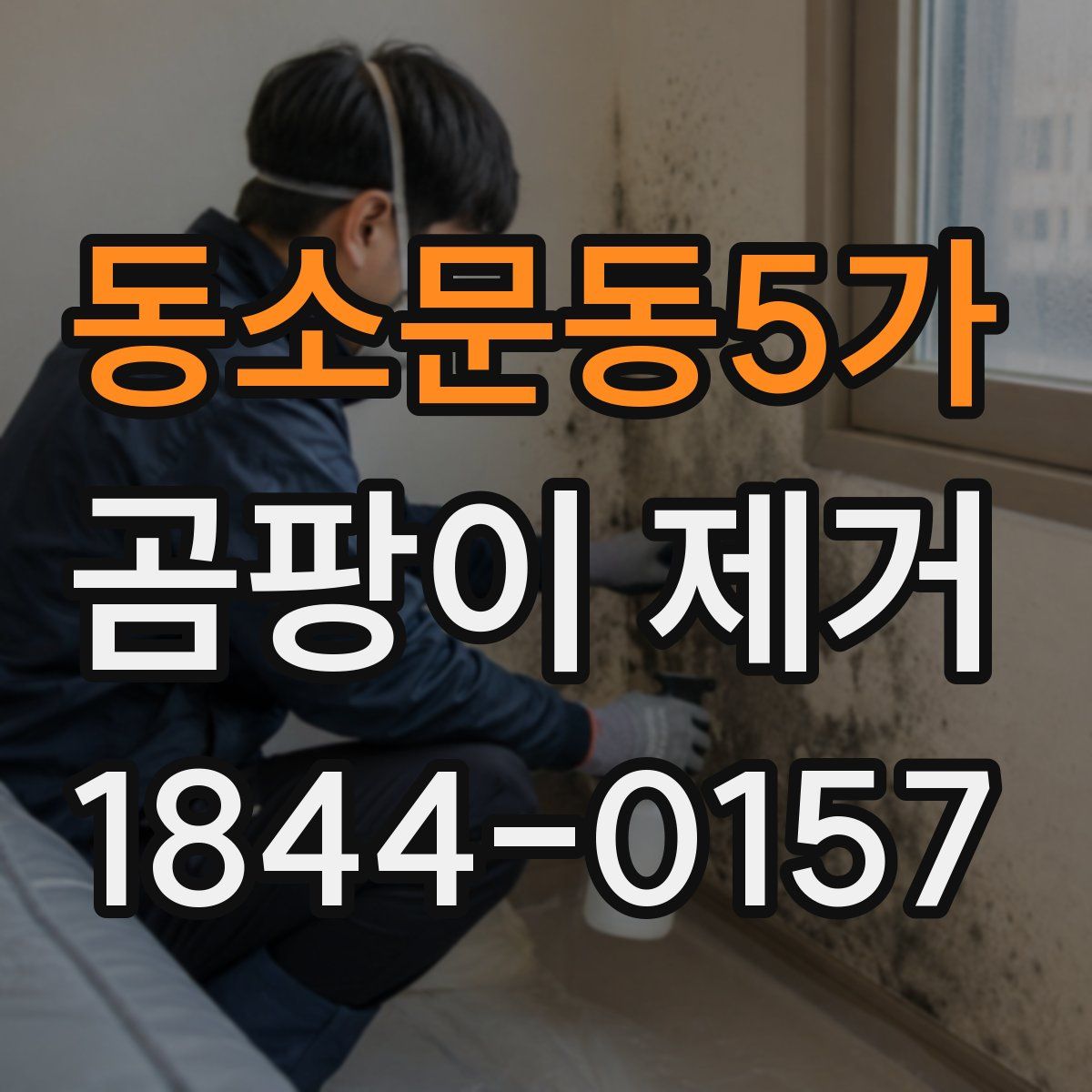 동소문동5가 곰팡이 제거