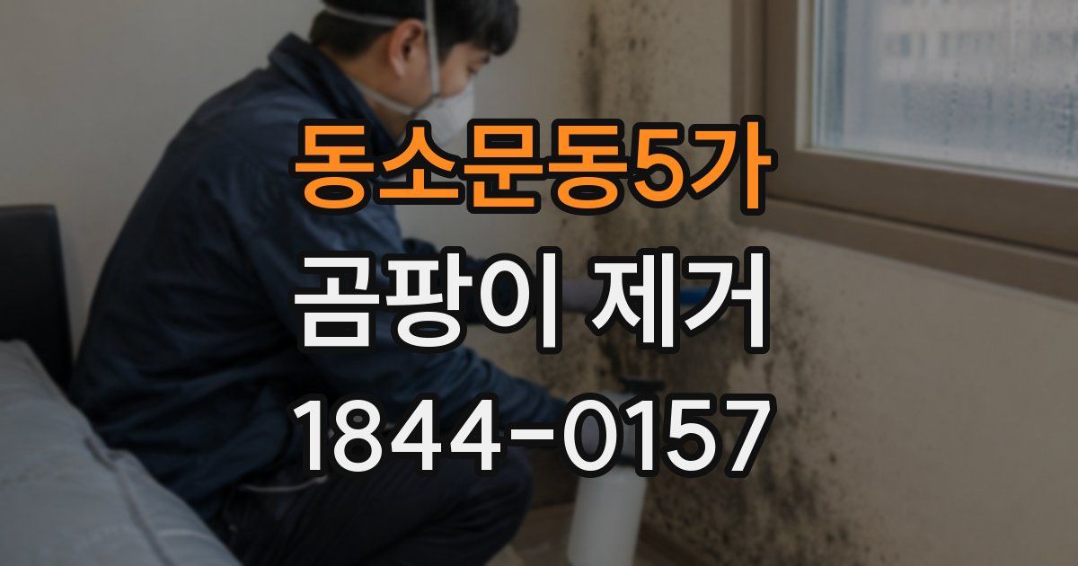 동소문동5가 곰팡이 제거