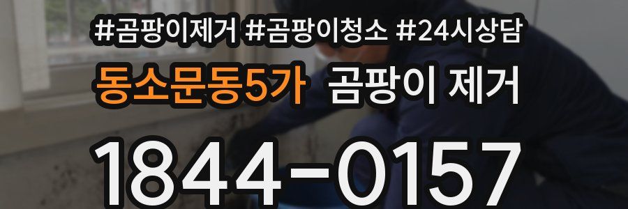 동소문동5가 곰팡이 제거
