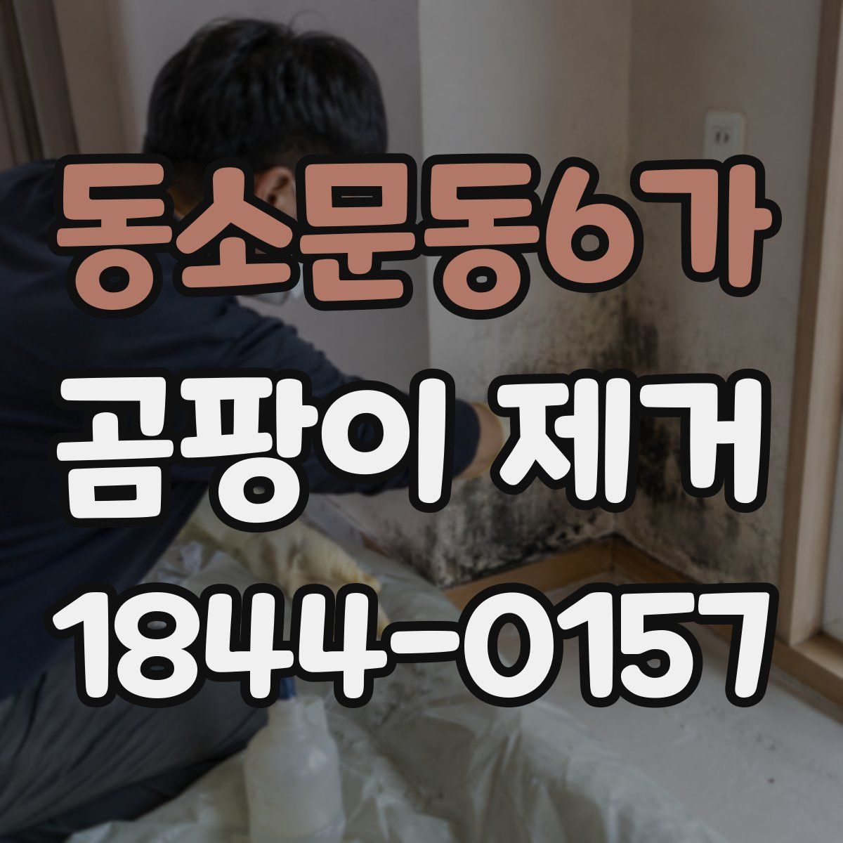 동소문동6가 곰팡이 제거