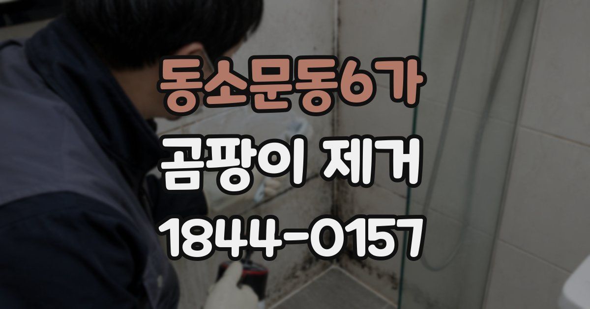 동소문동6가 곰팡이 제거