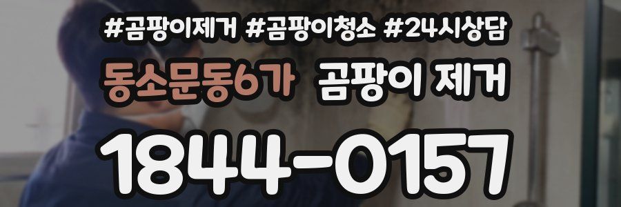 동소문동6가 곰팡이 제거