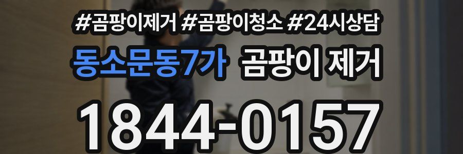 동소문동7가 곰팡이 제거