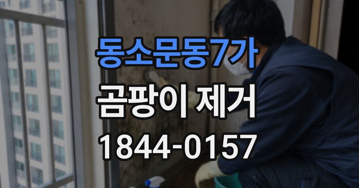 동소문동7가 곰팡이 제거