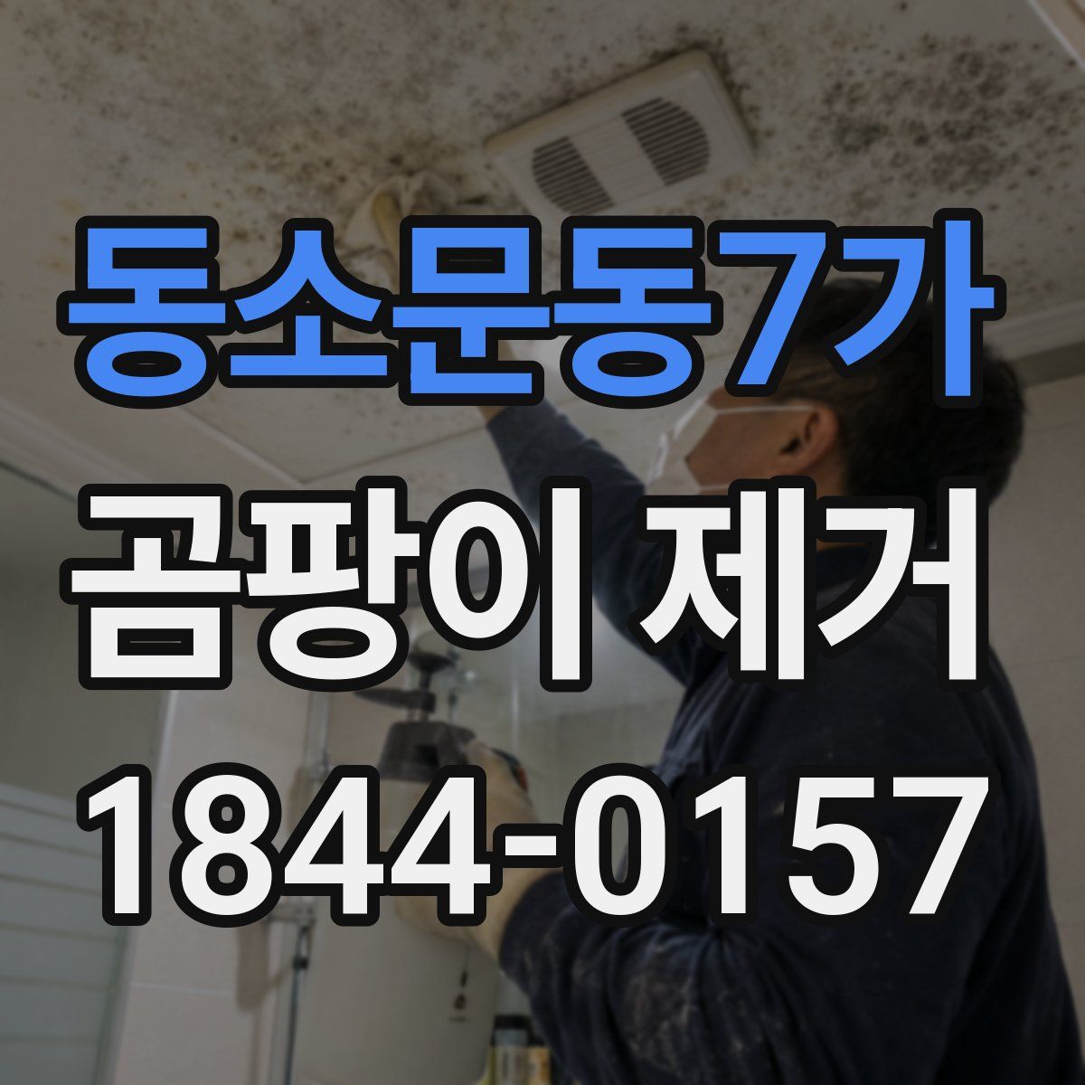 동소문동7가 곰팡이 제거