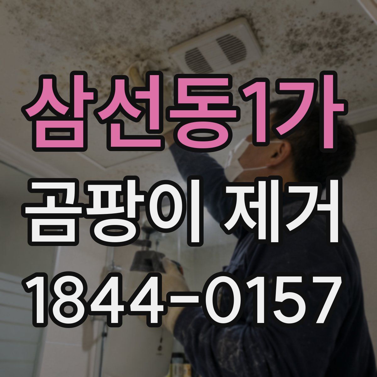 삼선동1가 곰팡이 제거