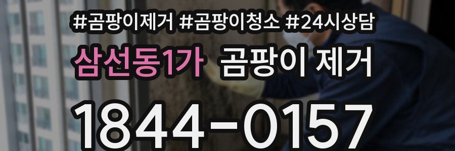 삼선동1가 곰팡이 제거