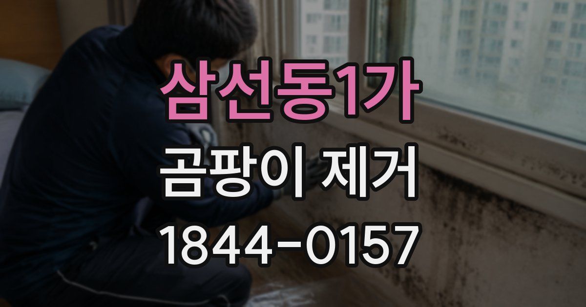 삼선동1가 곰팡이 제거