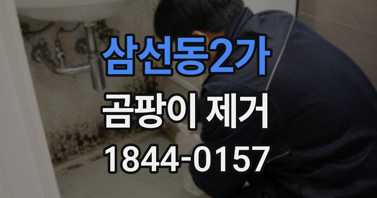 삼선동2가 곰팡이 제거