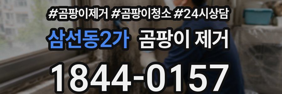삼선동2가 곰팡이 제거