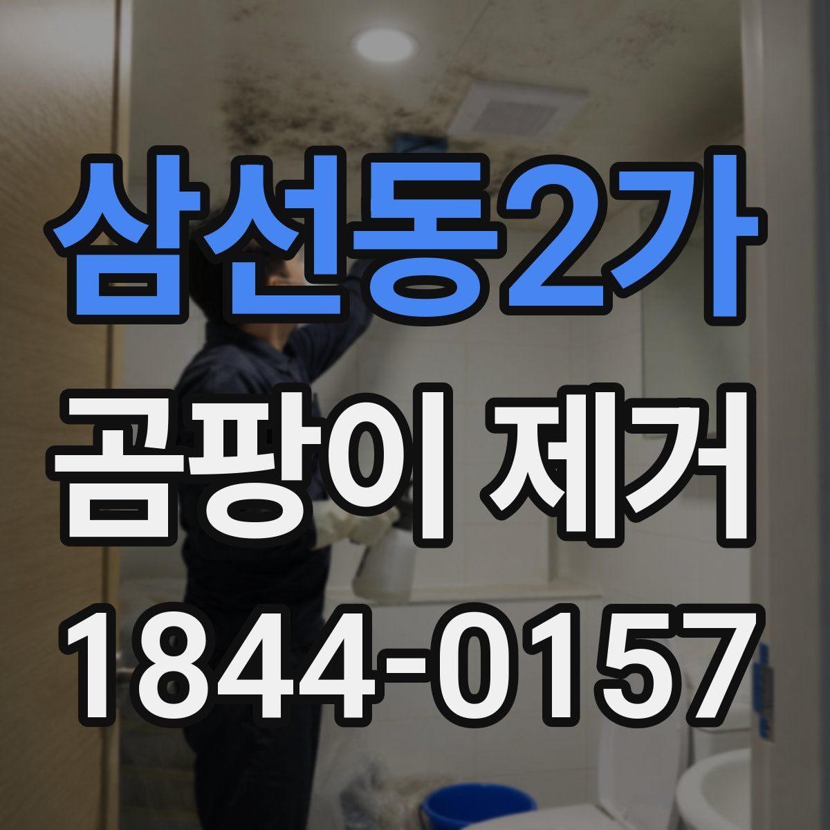 삼선동2가 곰팡이 제거