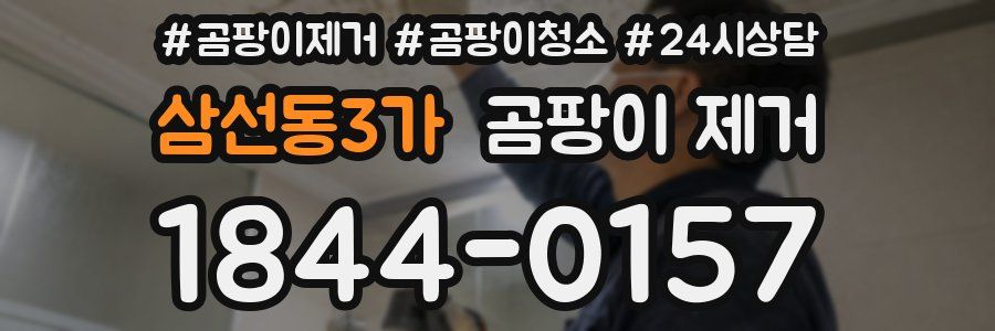 삼선동3가 곰팡이 제거