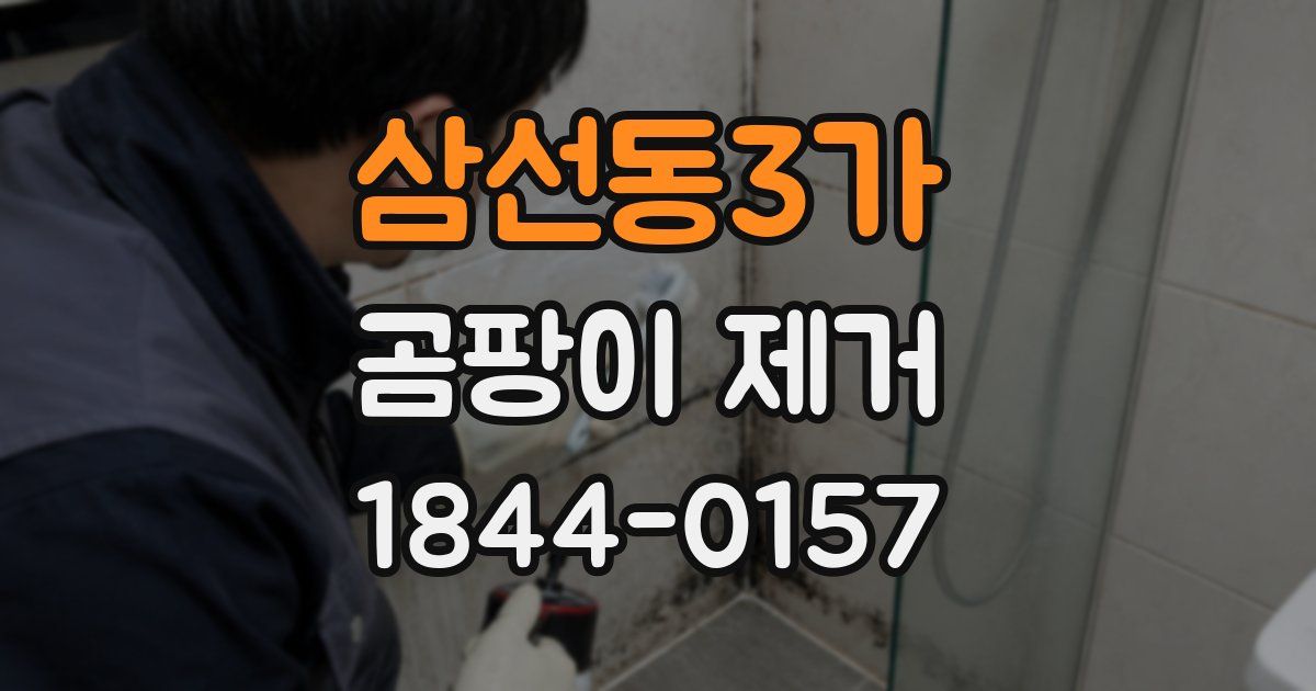 삼선동3가 곰팡이 제거