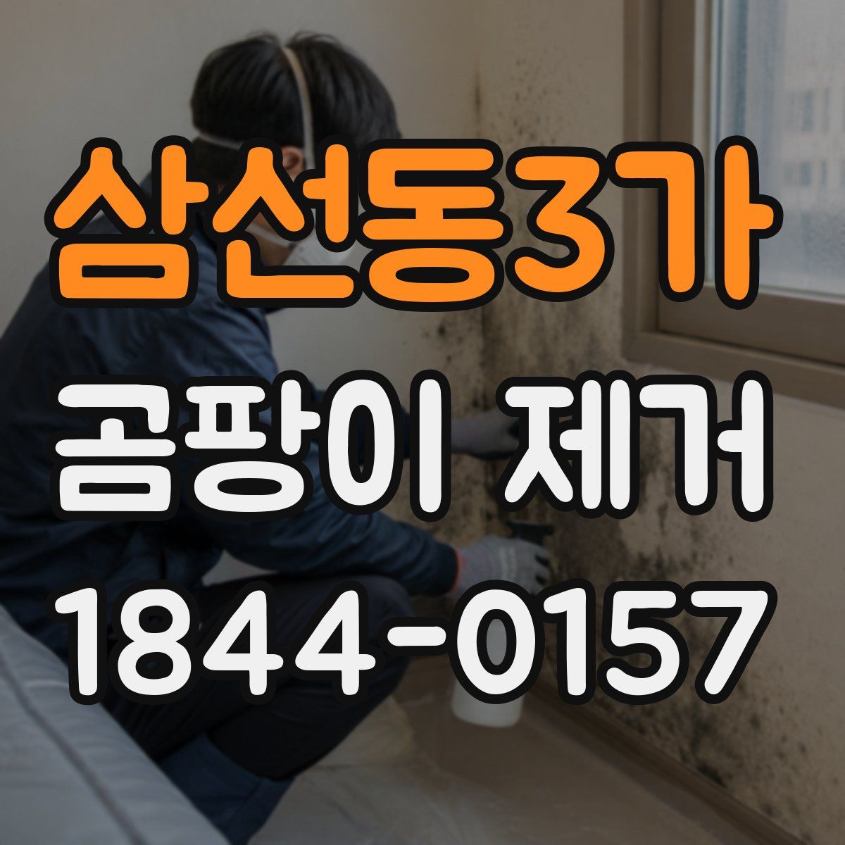 삼선동3가 곰팡이 제거