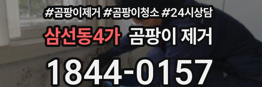 삼선동4가 곰팡이 제거