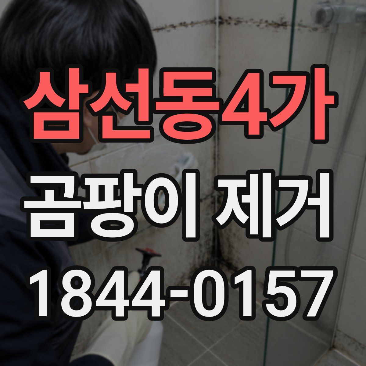 삼선동4가 곰팡이 제거