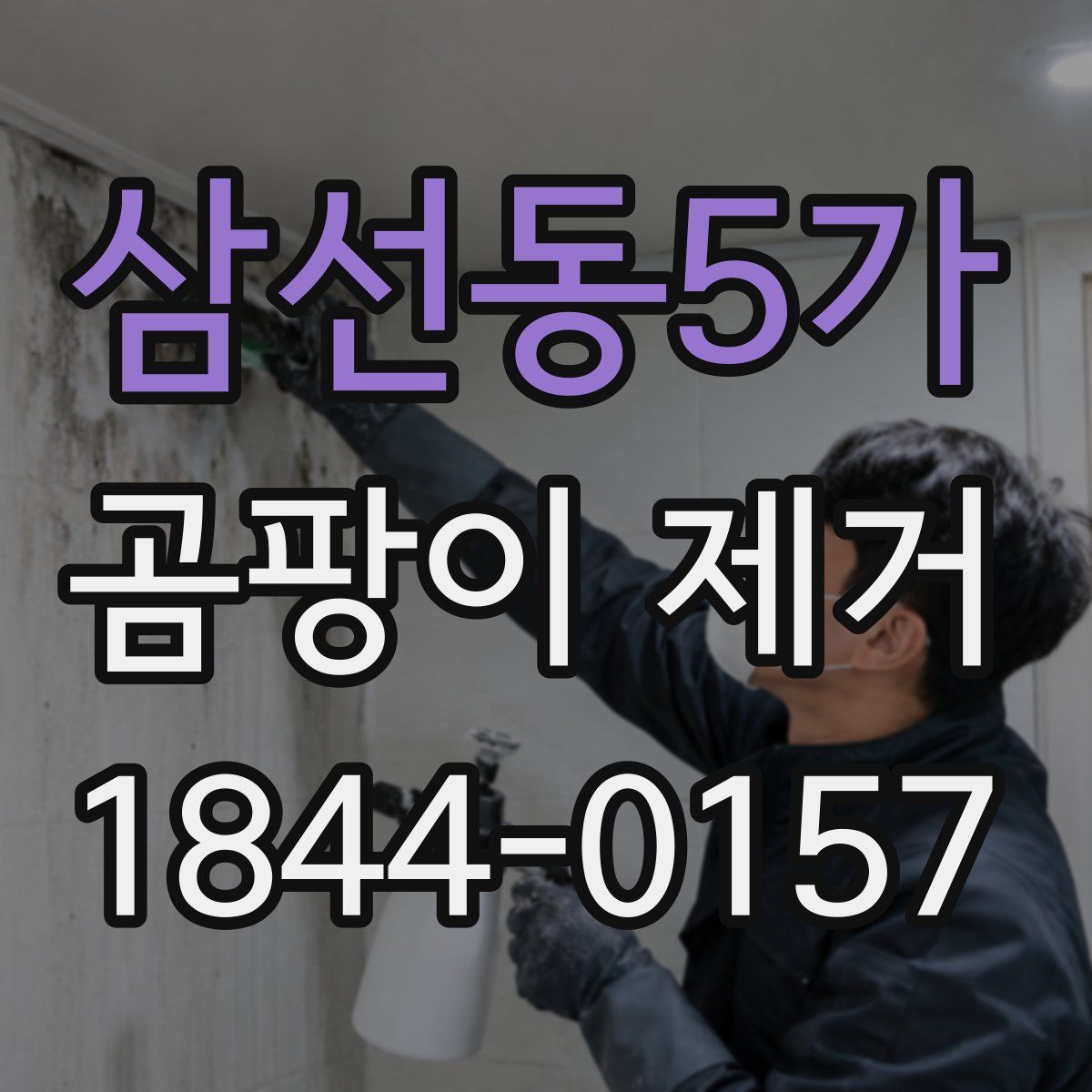 삼선동5가 곰팡이 제거