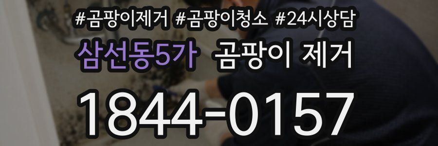 삼선동5가 곰팡이 제거