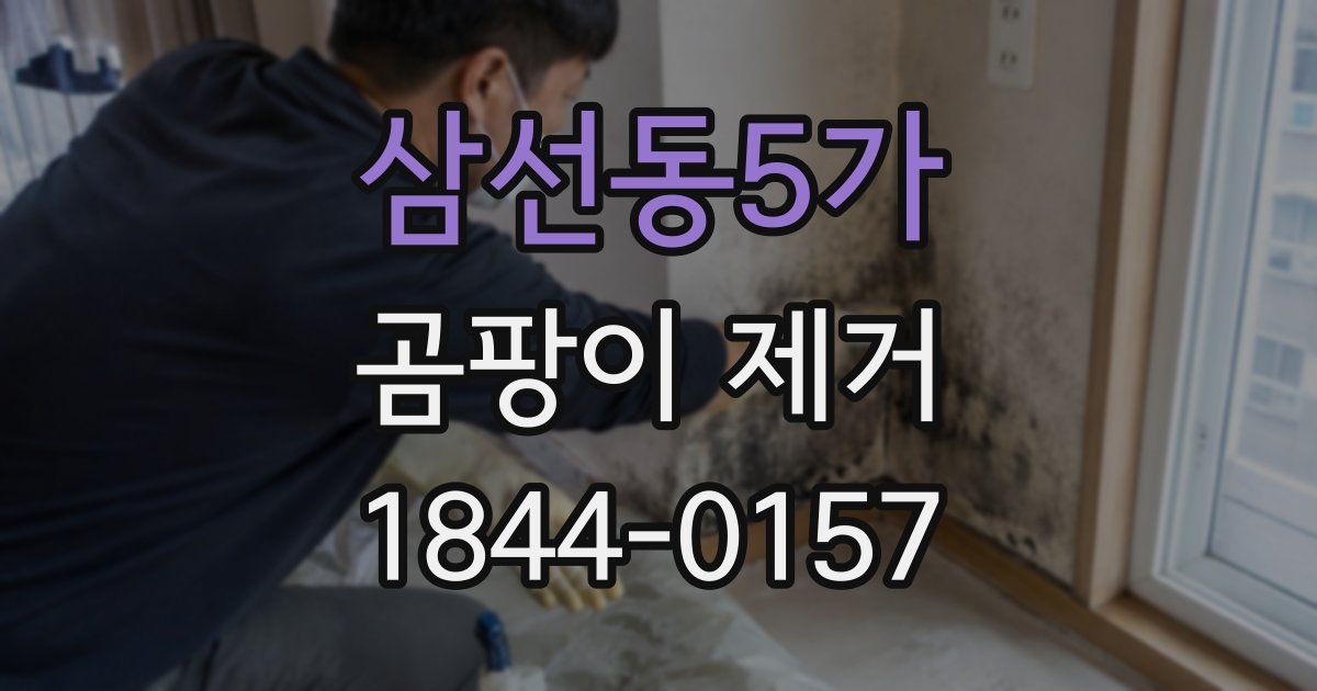 삼선동5가 곰팡이 제거