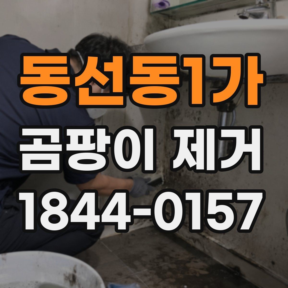 동선동1가 곰팡이 제거 세탁실에서 놓치기 쉬운 습기 요인