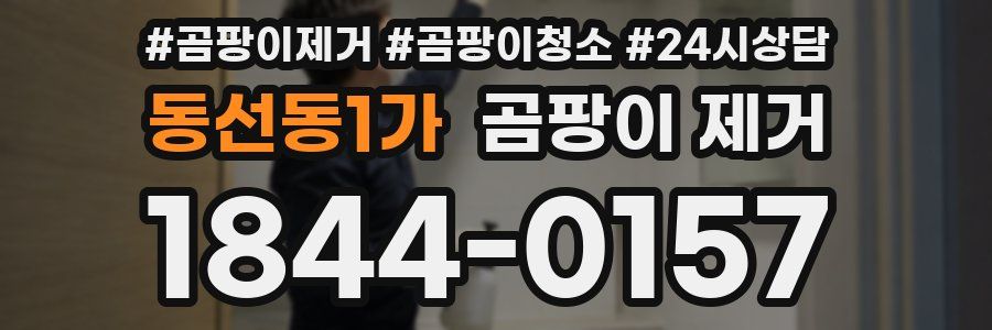 동선동1가 곰팡이 제거