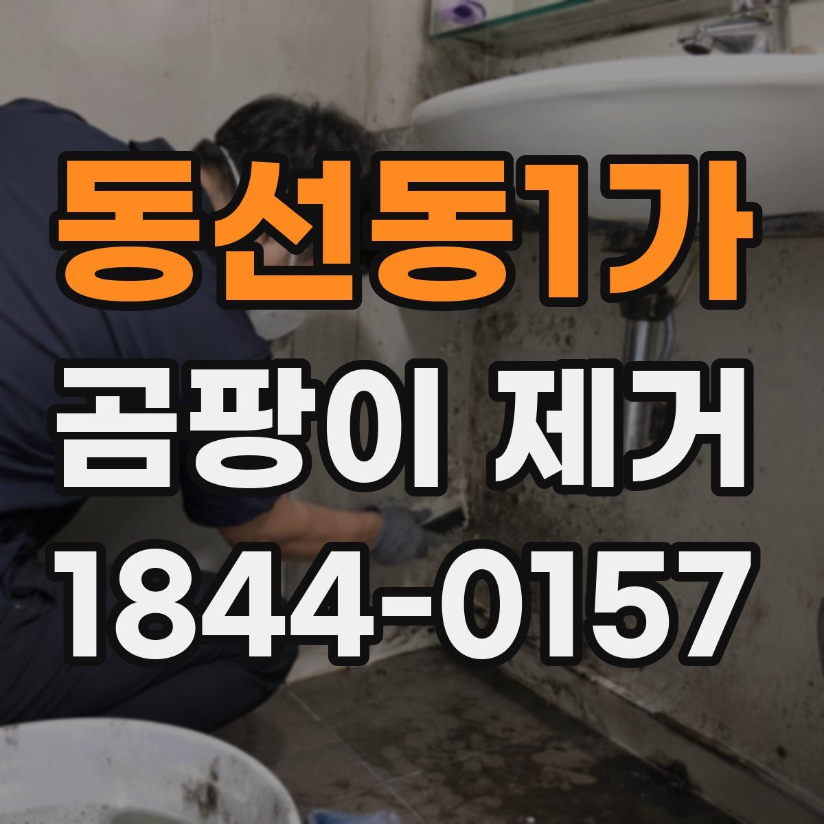 동선동1가 곰팡이 제거