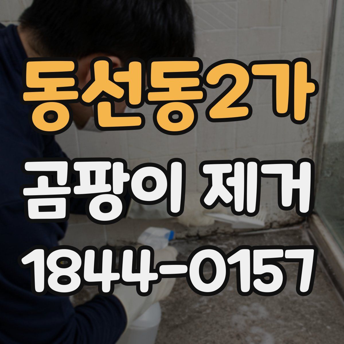 동선동2가 곰팡이 제거