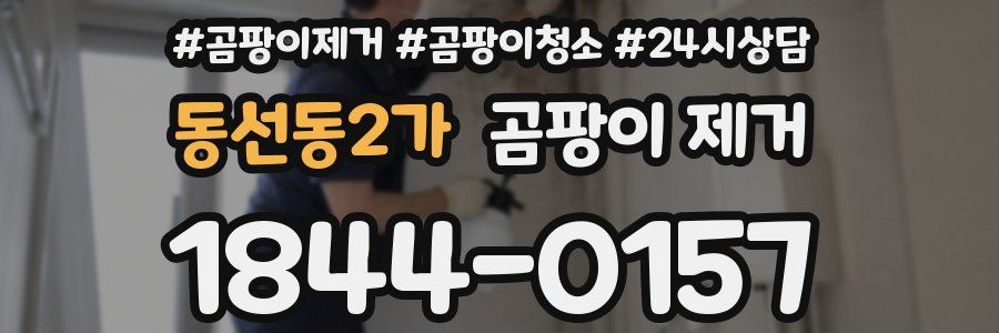 동선동2가 곰팡이 제거